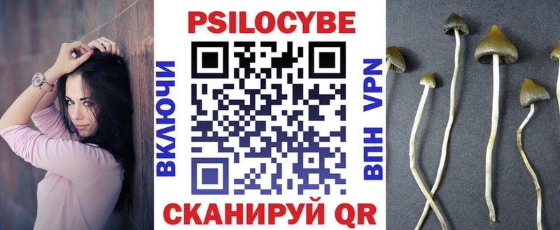 где купить наркоту  Торжок  Псилоцибиновые грибы мицелий 