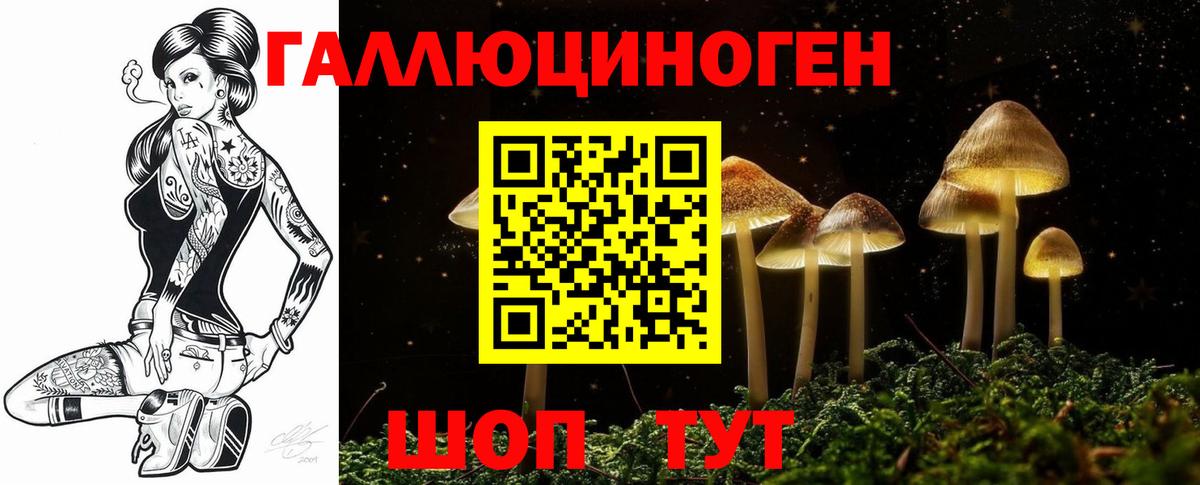 Галлюциногенные грибы прущие грибы  купить   Торжок  Вход с VPN 